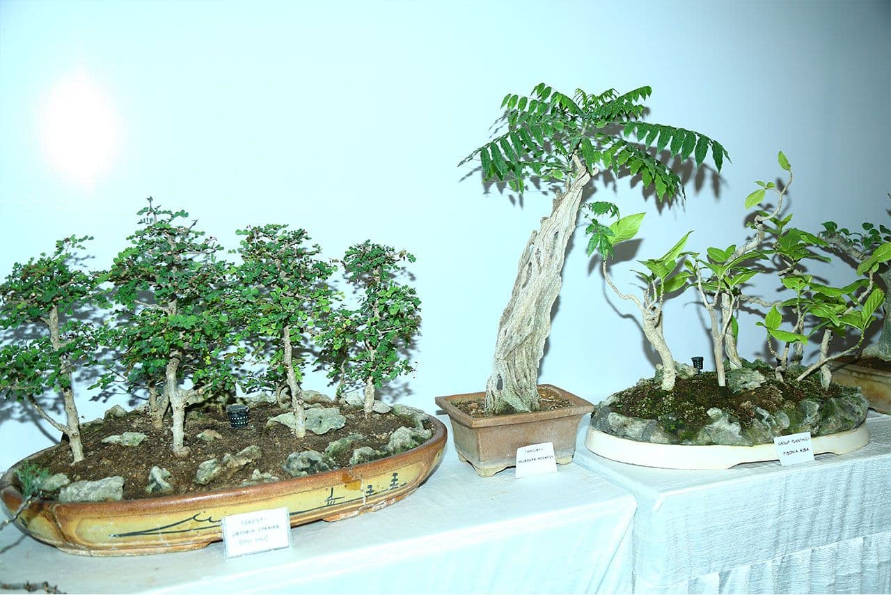 Event image 7